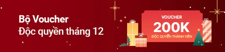 Promotional Banner 1